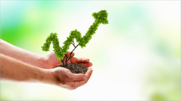 5 Top Tips For Growing Your Business