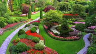 Designing A Suitable Garden For Your Home