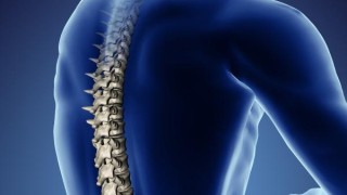 The Latest Facts About Spinal Cord Injury