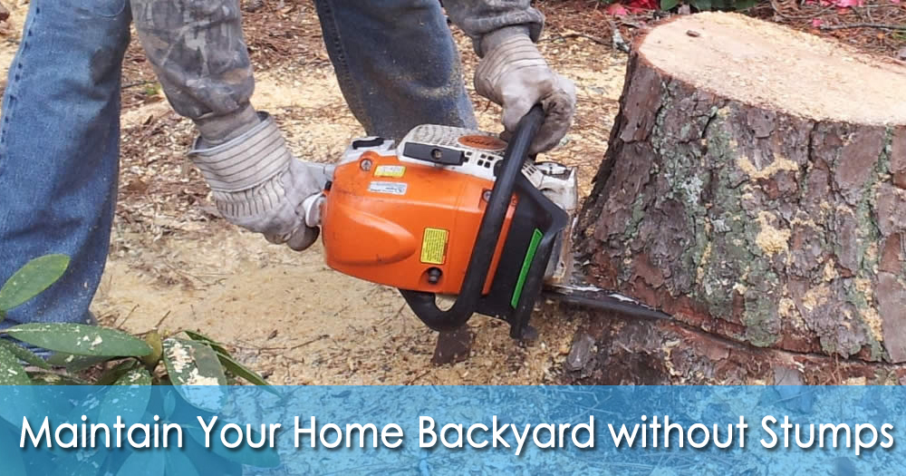 How Can You Maintain Your Home Backyard Without Stumps