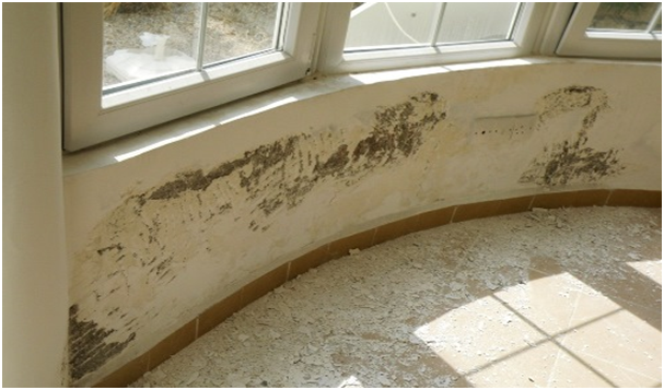 How Rising Damp Is Harmful For Us?