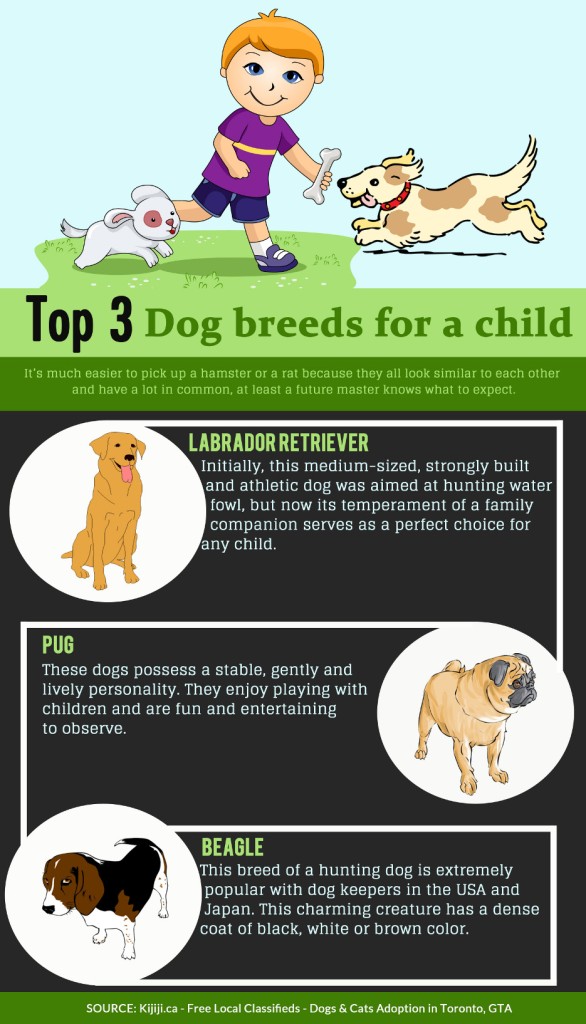 Top-3-dog-breeds-for-child
