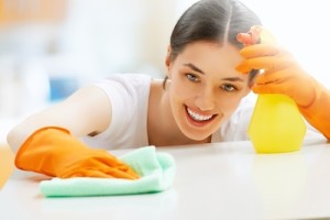 Keep Your House Clean With The Most Excellent Cleaning Services Presented To You