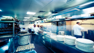 How To Choose The Best Restaurant Exterminator For Your Commercial Kitchen?