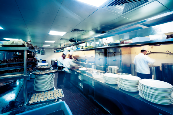 How To Choose The Best Restaurant Exterminator For Your Commercial Kitchen?