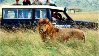 Safari In Tanzania – A Gift For Your Family This Season!