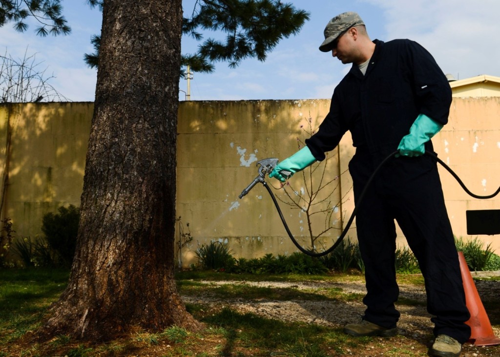 How To Choose The Best Pest Control Maidenhead