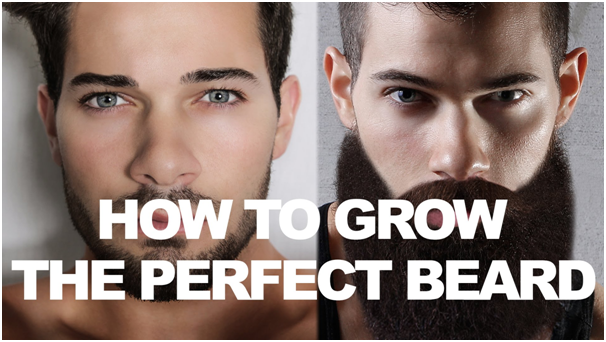 Face Shape and Beard Style: Finding The Perfect Combo