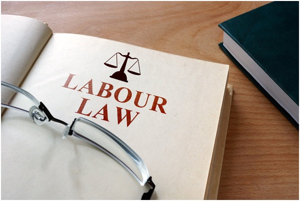 The Need Of An Employment Lawyer For An Employ