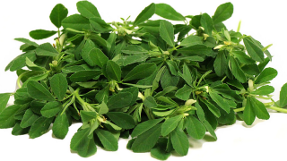 Fenugreek and Its Miracle Benefits Of Increasing The Testosterone Level