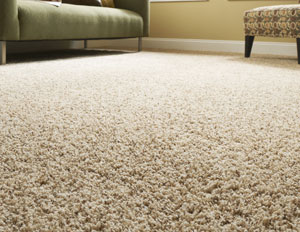 Tips to Cleaning Up the Vomit on Your Carpet