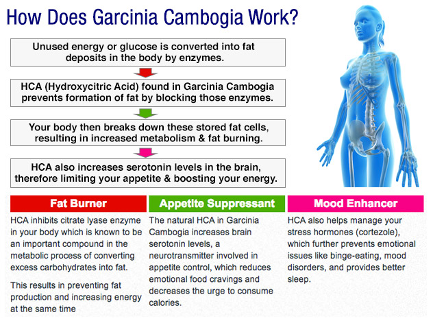 Find Out The Truth About Garcinia Cambogia Extract