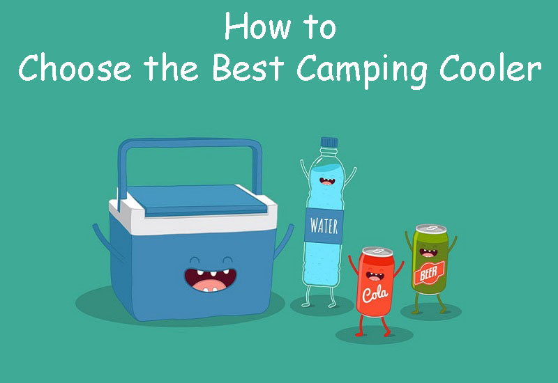 How To Choose The Best Camping Cooler For Your Needs?