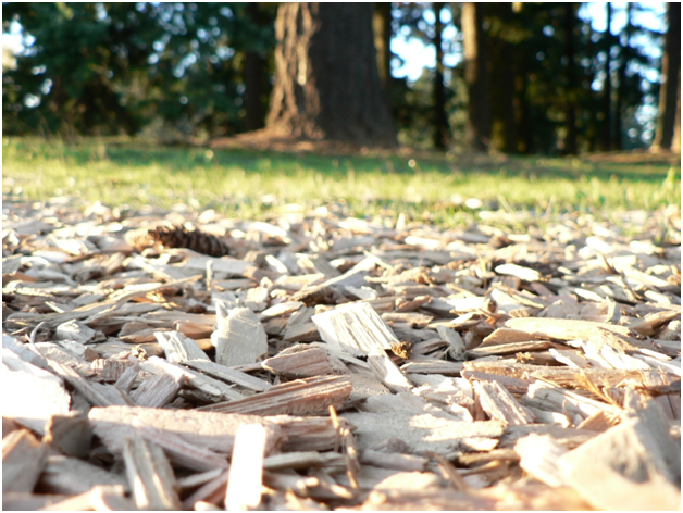 Benefits Of Woodchip As Safety Surfacing