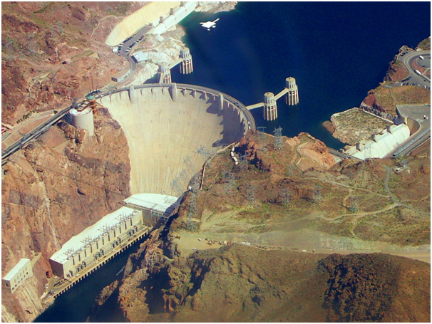 British Stag Swims Across The Notorious Hoover Dam