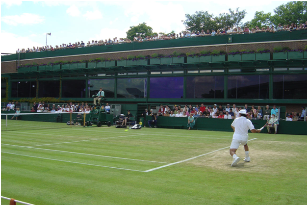 Everything You Need to Know About Wimbledon Prize Money